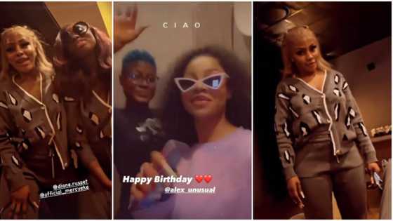 BBN rivals Tacha and Mercy spotted in the same location for Alex’s 26th birthday, fans react to viral videos