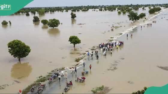 FG warns as Niger and Benue Rivers hit dangerous levels