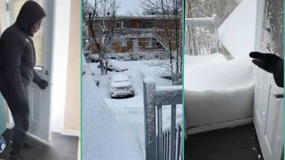 "We go still come": Man in Canada shares video of his compound filled with snow, video trends
