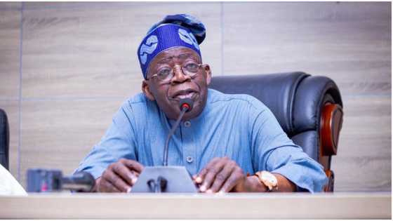 2023 presidency: Buhari's top minister explains why Tinubu is not doing live interviews