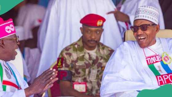 Ahaf: Dan siyasa ya hango matsala, ya fadi kuskuren da Tinubu ke aikatawa irin na Buhari