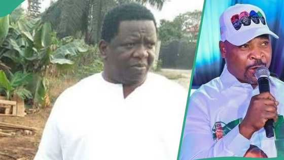 Olohunwa replaced MC Oluomo as Lagos NURTW chairman? Former transport union boss speaks out
