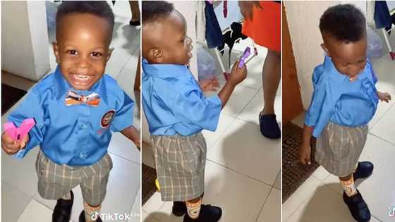 "He is a professor": Brilliant 2-year-old boy stuns people with his intelligence on first day of school, video causes frenzy