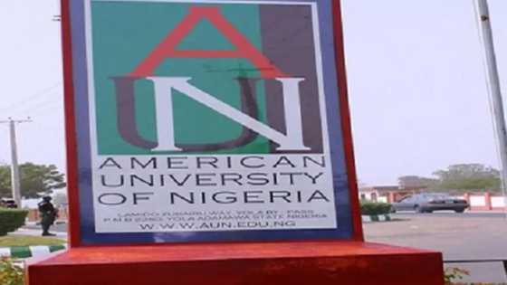 Bayan korar ma'aikata 46 a kamfaninsa, jami'ar Atiku ta kori ma'aikata fiye da 400 da rana tsaka