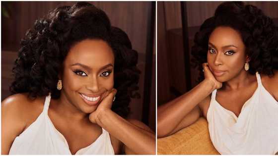 They didn't want me looking too glamorous: Chimamanda Adichie releases photos rejected by foreign magazine