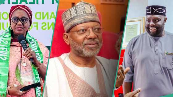 Top 3 best performing Nigerian senators in 2025 named