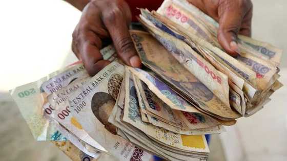 Union Bank leads list of Nigerian banks giving the highest loan amount to customers without collateral