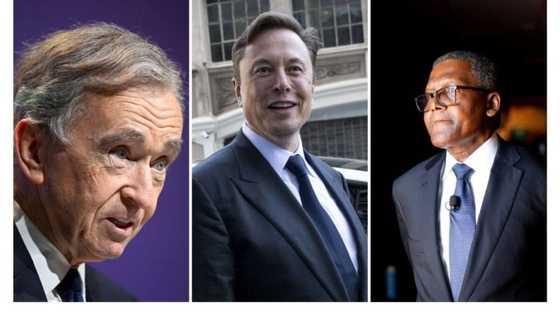 Elon Musk dusted as Bernard Arnault’s wealth soars to $210 billion