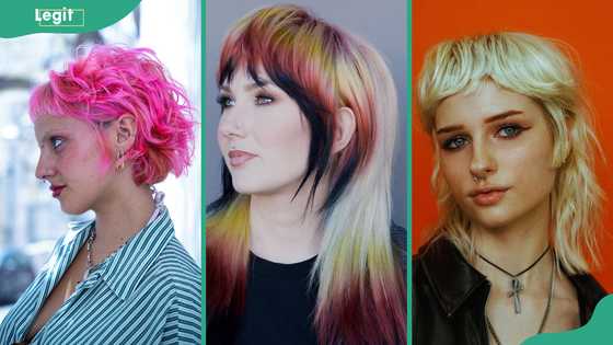 Wolf cut vs mullet cut: what's the difference between them?