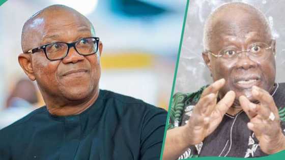 Peter Obi to emerge as PDP presidential candidate in 2027? Bode George shares details