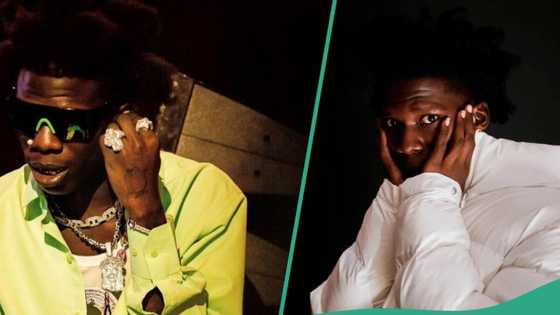 Seyi Vibez brutally dragged after committing grammatical blunder during interview: "We love him"