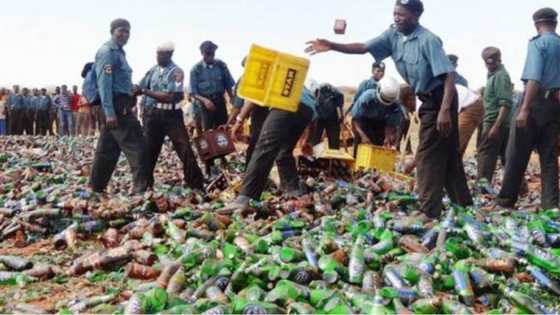 Ramadana: Hisbah ta fasa kwalaben barasa na N500 a jihar Kano, ta yi wani bayani