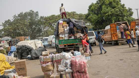 African Development Bank chief warns of tariff 'shock wave'