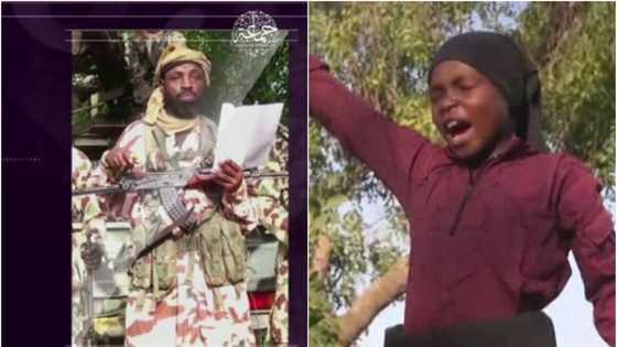 Eh, an nakasta shi; Mayakin kungiyar Boko Haram ya fallasa gaskiyar halin da Shekau ke ciki