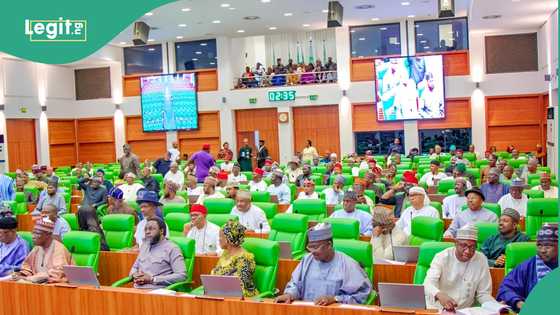 CBEX scandal: Reps raise alarm over collapse of N1.3trillion crypto scam