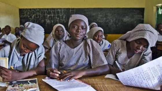 Insecurity: INGO to establish peace, security clubs in schools across northern Nigeria