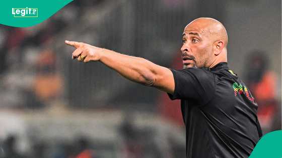Inside Eric Chelle's squad for World Cup qualifiers as 4 players return to Super Eagles fold