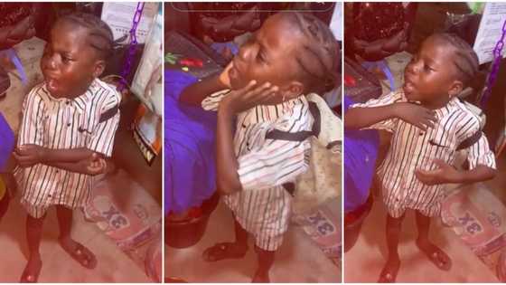 "Do you want to cut my neck?" Little girl dramatically laments like adult in touching video, surprises many