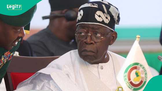 New petrol import permits may undermine local refining, strain forex, policy group tells Tinubu