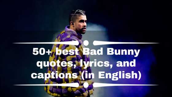 50+ best Bad Bunny's quotes, lyrics, and captions (in English)