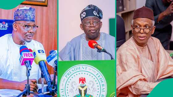 "Tinubu ya fi El Rufai farin jini a Kaduna", Gwmana Sule ya fadi dalili