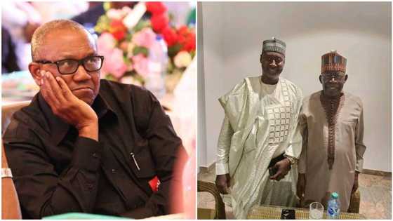 Just in: Setback for Peter Obi as Labour Party governorship candidate collapses structure into APC in northern state