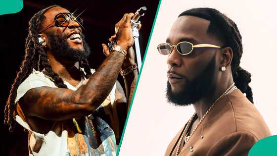 Legal war erupts over Burna Boy’s catalogue as 960 Music drags Aristokrat and Spaceship to court