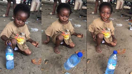 "He is the overall winner": Confident boy plays bottle flip challenge alone, wins it in viral TikTok video