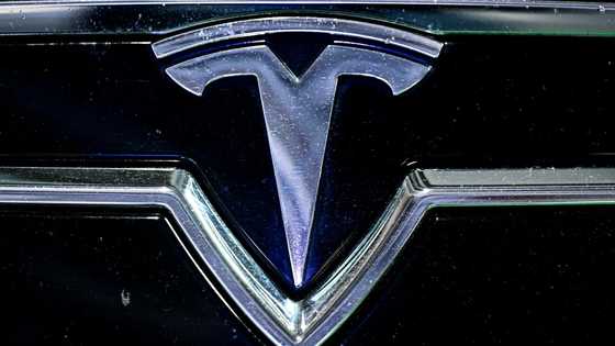 Tesla EU sales slump 52% in April: trade group