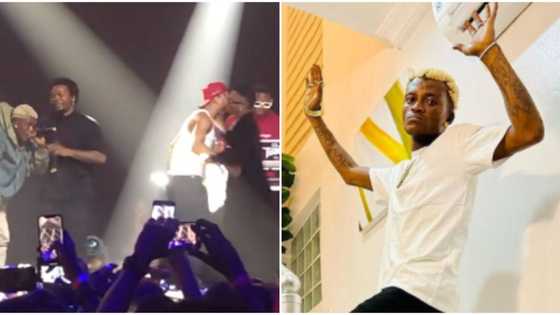 Legendary performance with the champions: Zazu crooner Portable gushes as he shares stage with Olamide, Wizkid