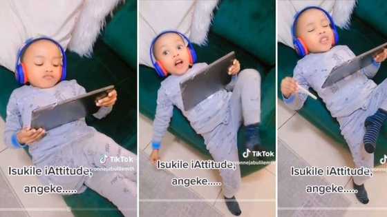 "He's now the man of the house": Toddler Looks away, disobeys mum's instruction confidently in viral video