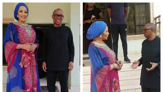 2023: Labour Party gets southeast boost as Peter Obi holds crucial meeting with Bianca Ojukwu, details emerge