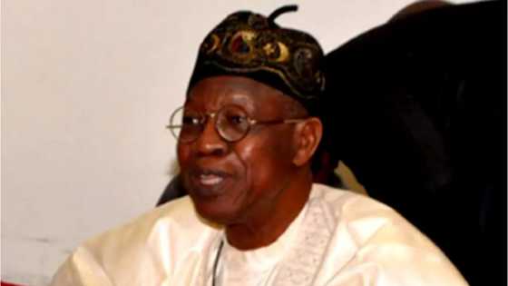 Dalilin Da Yasa Muke Ragargazan Yan Ta'adda Da Yan Bindiga, Gwamnatin Tarayyar Najeriya