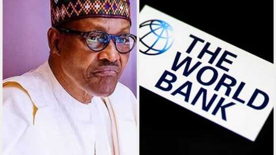 World Bank releases report on Nigerian economy as FG Spends N96 out of every N100 of its Revenue to repay debt