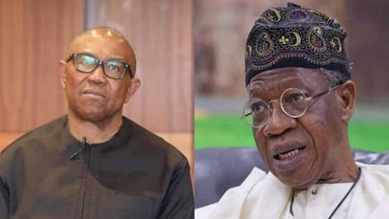 Labour Party, APC engage in war of words as opposition tackles Lai Mohammed, Buhari