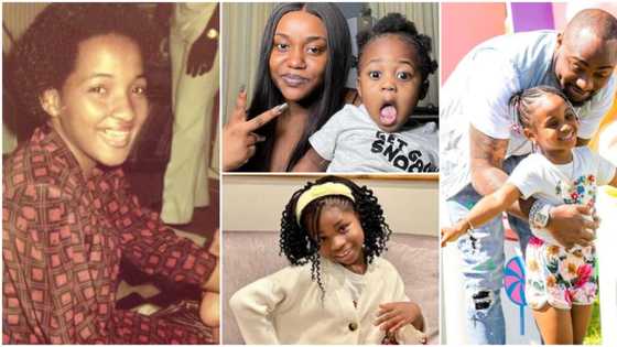 Stop this lie abeg: Nigerians knock Twitter user for saying Davido's Imade looks like his late mum