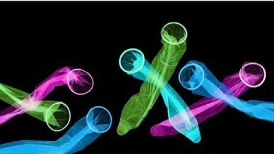 Ana fama da ƙarancin kororon roba a wani gari a Bauchi, in ji Cibiyar Lafiya