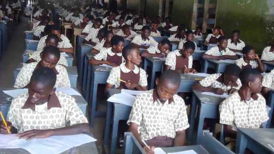 2020 WASSCE: FG says it can’t decide for private, state schools