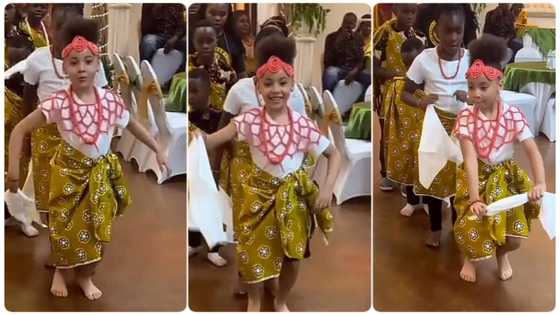 "They put her in front": Little girl wows the crowd as she steps out with dancing troupe at event in video