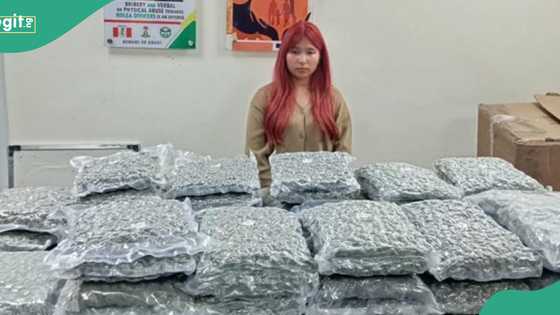 NDLEA arrests Thai lady with boxes of illicit drug consignments at Lagos airport