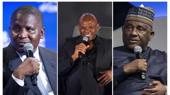 What Dangote, Elumelu, Rabiu, and other African billionaires do differently to stay successful