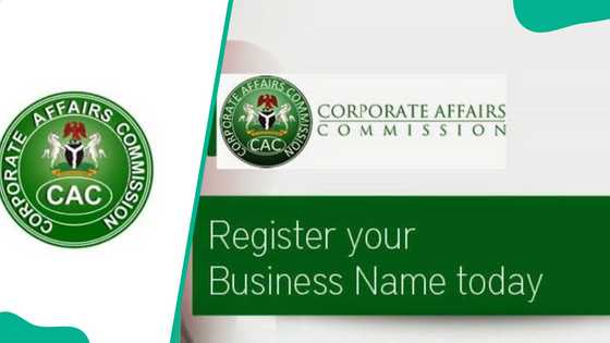 Step-by-step breakdown of the requirements for company registration in Nigeria