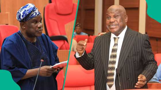 "Ba zan koma majalisar dattawa ba," Sanata Buhari zai nemi kujerar gwamna a 2027