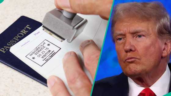 Good news as US begins visa approval petition after court issues order to Trump