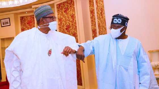 An Fitar Da Sunayen Jihohi 10 Da Buhari Zai Halarci Kamfen Din Tinubu Da Kansa
