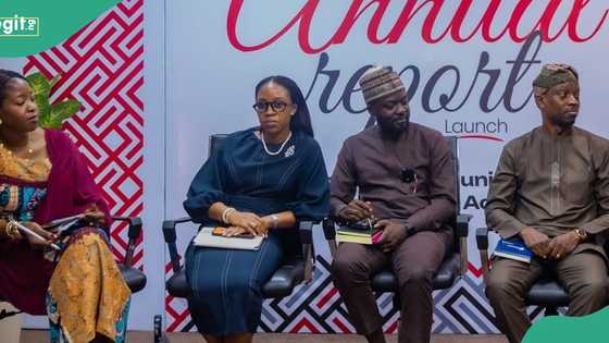 Group raises alarm over Nigeria's climate finance shortfall
