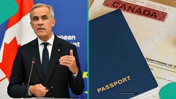 Canada announces 3 categories of foreigners who can apply for temporary resident permit for free