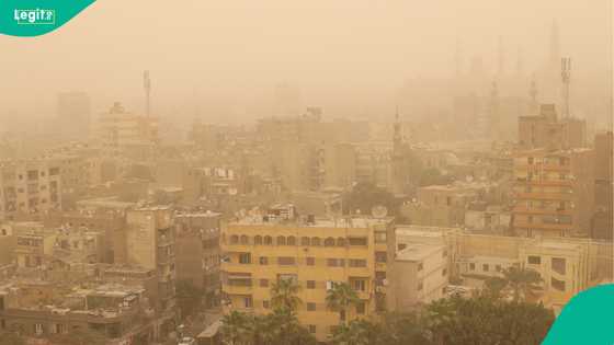 Air pollution crisis exposed: Report warns of global health emergency linked to millions of deaths