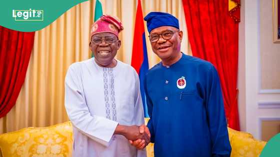 2027: PDP chieftain reacts as Wike vows to support Tinubu’s re-election bid, “Embarrassing”