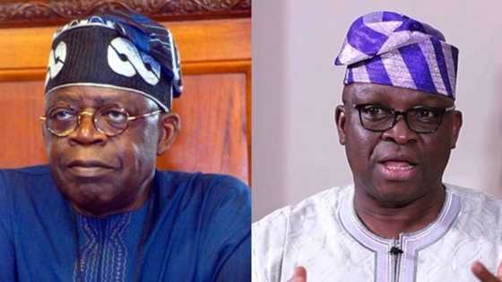 2023: Intrigues as Fayose speaks on Tinubu's rumoured presidency ambition, says "he's a leader"